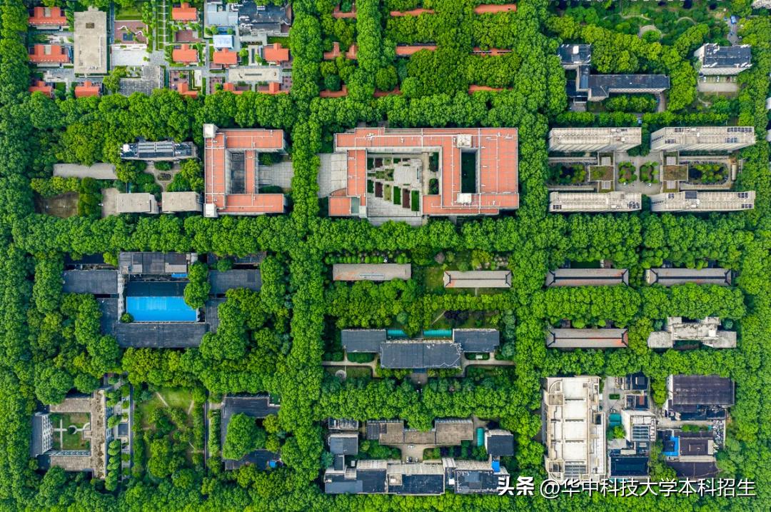 请回答2025!华中科技大学拉什